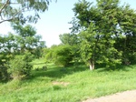 19412P1010259.JPG