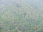 53610CIMG6975.JPG