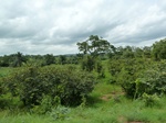 18789P1000627.JPG