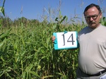 7994014-irrri-maize-sw-1a.jpg