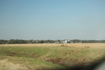 2022-11-17_21-53-57_0703DFBA-0716-4EE9-B22A-07DDD70DFC4F.jpeg