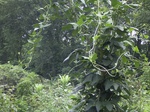 1129R0015323.jpg