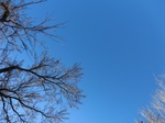 43153CIMG0182.JPG