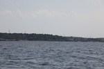 2024-08-05_17-04-34_A9C36C0A-C75E-4F05-A75B-B47366673C1B.jpeg