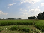 31214CIMG1076.JPG