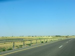 55248CIMG1301.JPG