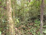 46687DSC02020.JPG