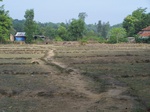 1723220042008(2).JPG