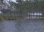 582R0015128.jpg