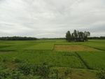 26125DSC01166.JPG