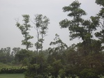 14858IMG_5251.JPG