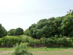 18959P1000803.JPG