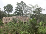48696CIMG5033.JPG