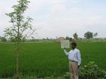 9432gt93a_cropland_rice.gif