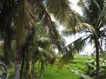 15900IMG_4448.JPG