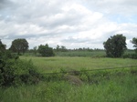 33300IMG_5634.JPG