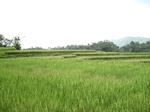 15196IMG_4016.JPG
