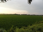 21957DSC00211.JPG