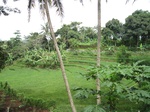16159IMG_4917.JPG