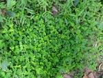 46646DSC01979.JPG