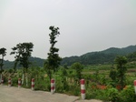 53920CIMG3606.JPG