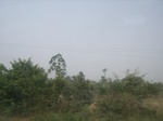 9163RIMG0244.JPG