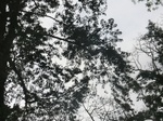 48609CIMG4946.JPG