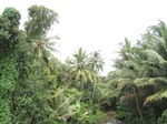 16165IMG_4923.JPG