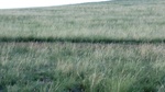 34035CIMG2216.JPG