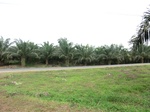 50731CIMG1360.JPG