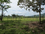 32002IMG_5559.JPG