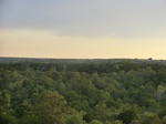 55538CIMG2251.JPG