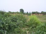833R0015382_small.jpg
