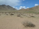 22419P1010554.JPG