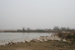 4538IMG_8962.JPG