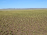 37861CIMG1668.JPG