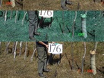 11075gt-176-wetland-upland-vlley-cpsite1-02.jpg