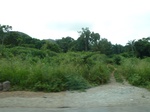 21099P1020976.JPG