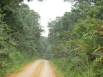 48381CIMG4718.JPG