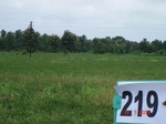 71270219c-rainfed-agriculture-soyabean.jpg