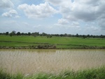 33254IMG_5584.JPG