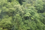 2024-08-05_13-55-19_D42B6B48-AD4D-48C2-8A63-2A02569C92A9.jpeg