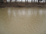 8540IMG_0366.JPG