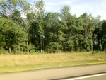 57964IMG_0927.JPG