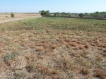 39179BUTL20110728N.JPG