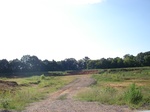 32543p195.jpg