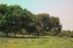 2024-08-05_14-50-00_F32CE25D-2E07-4335-AEB0-5B964496471C.jpeg