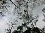 46031CIMG0320.JPG