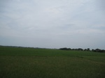15622IMG_4694.JPG