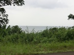 44824CIMG2009.JPG